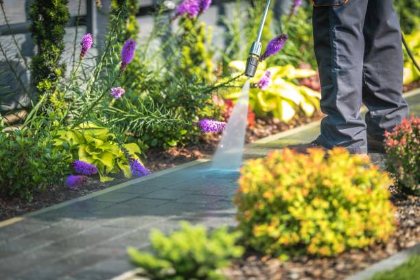 Best House Exterior Washing  in Kimberly, ID